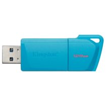 Memoria Flash Kingston 128gb usb 3.2 (DTXM/128GB)